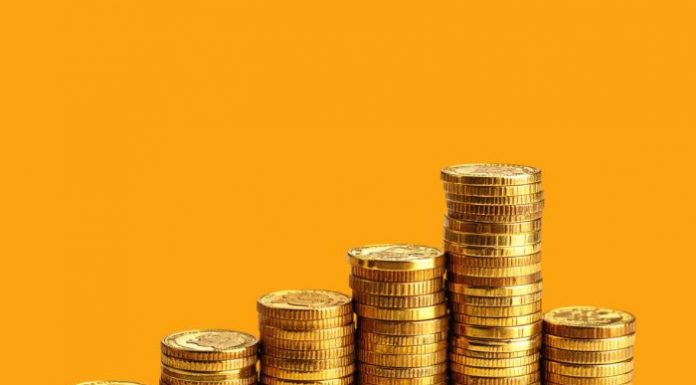 Purpose und Profit: Warum Nachhaltigkeit zum härtesten Wettbewerbsvorteil geworden ist
