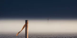 „Hendrik Holt – Der Windkraftschwindler“: Wenn große Versprechen auf harte Realität treffen Vermessungspflock mit orangefarbenem Markierungsband auf einem leeren Feld im dichten Nebel, dahinter die kaum sichtbare Silhouette eines Windrads – Sinnbild für verkaufte Windparks, die nie existierten