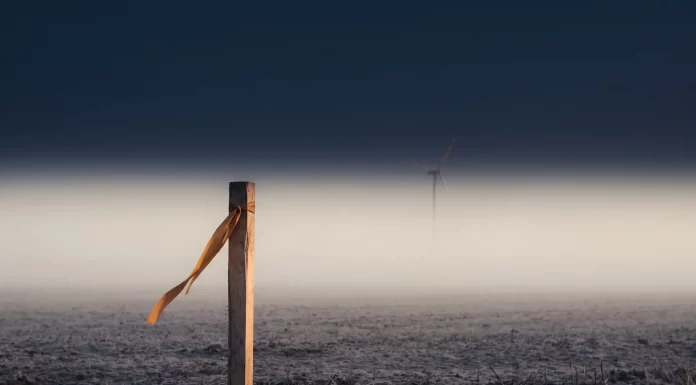 „Hendrik Holt – Der Windkraftschwindler“: Wenn große Versprechen auf harte Realität treffen Vermessungspflock mit orangefarbenem Markierungsband auf einem leeren Feld im dichten Nebel, dahinter die kaum sichtbare Silhouette eines Windrads – Sinnbild für verkaufte Windparks, die nie existierten